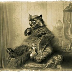 Meet your Posher, Natalia